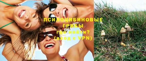 трава Балабаново